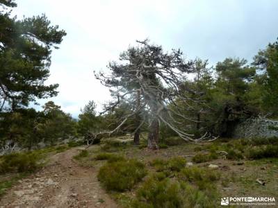 Monte Abantos-Escurialense,Cuelgamuros; rutas de senderismo en cuenca excursiones para grupos equipa